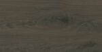 Domino Pietra Aurea Wood 30,8x60,8 falicsempe